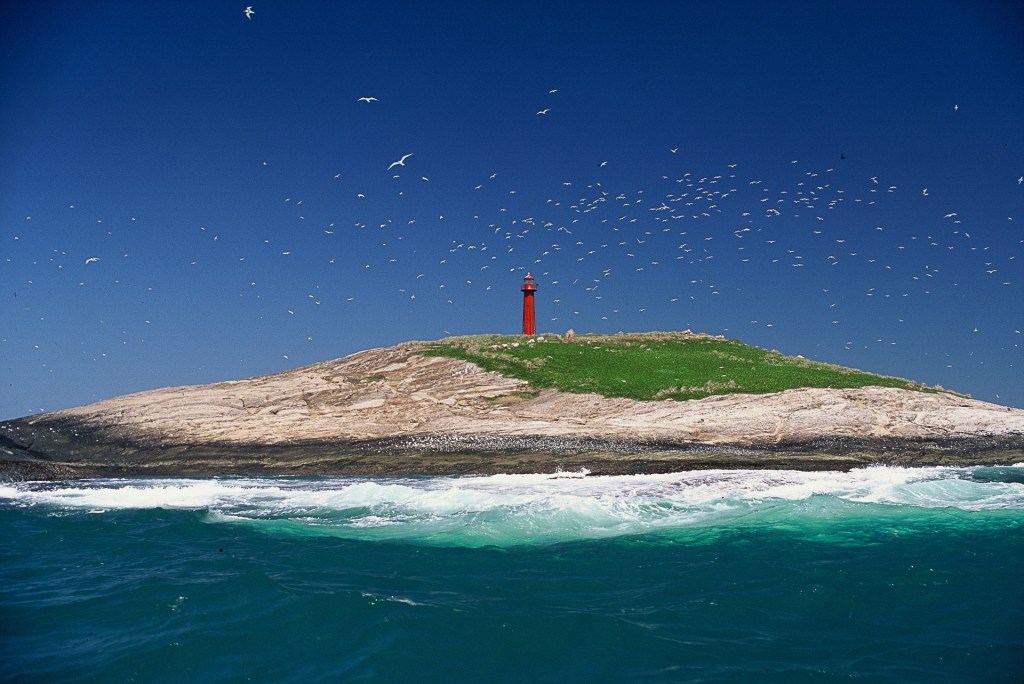 Ilha da Escalvada - Guarapari - ES.
Um dos principais pontos de desova das andorinhas-do-mar no Brasil.