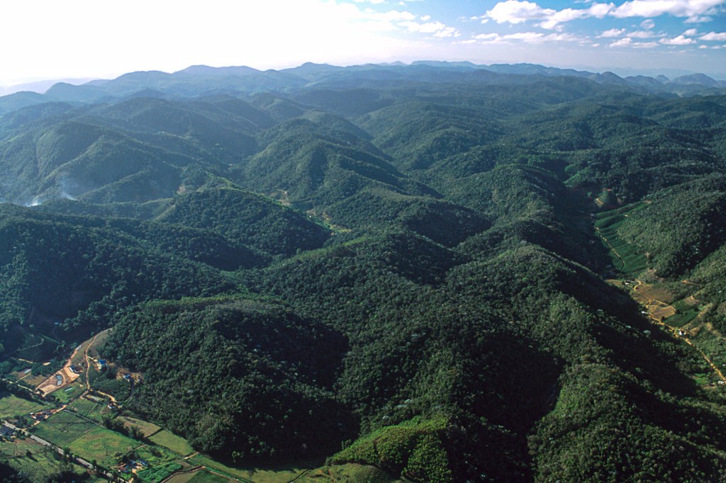 No município de Santa Teresa, ES, podemos observar ainda grandes extensões de Mata Atlântica que abrigam uma das maiores biodiversidades do planeta.