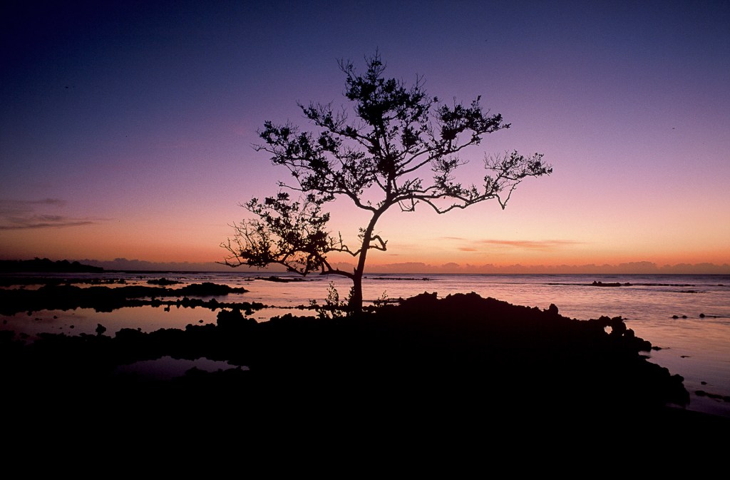 Nascer do sol em Santa Cruz, ES. Uma oportunidade única de contemplação.