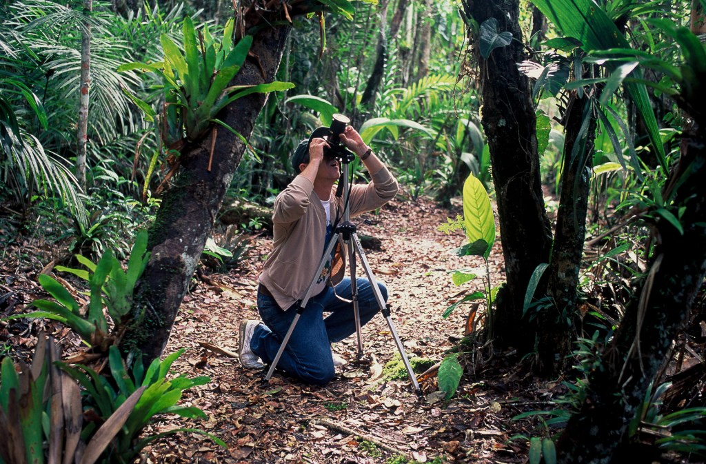A fotografia de natureza leva pessoas para os quatro cantos do planeta. Um exemplo disso são os observadores de aves. É uma forma muito especial de conexão do ser humano com a natureza. 
