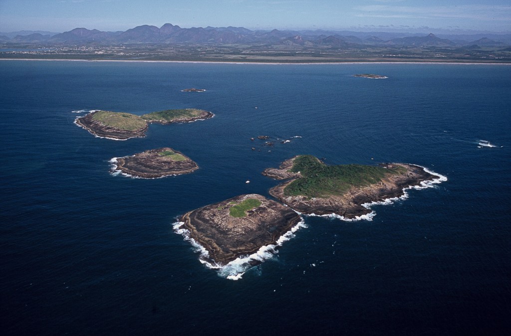 As ilhas oceânicas abrigam uma grande biodiversidade marinha. Oferecem também uma experiência ímpar de lazer para os amantes da pesca recreativa e do mergulho.