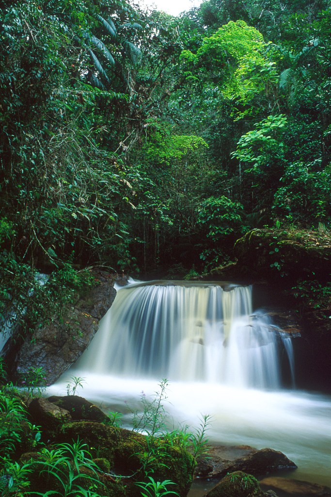 Existe uma forma melhor de se conectar com uma floresta do que um banho de cachoeira?