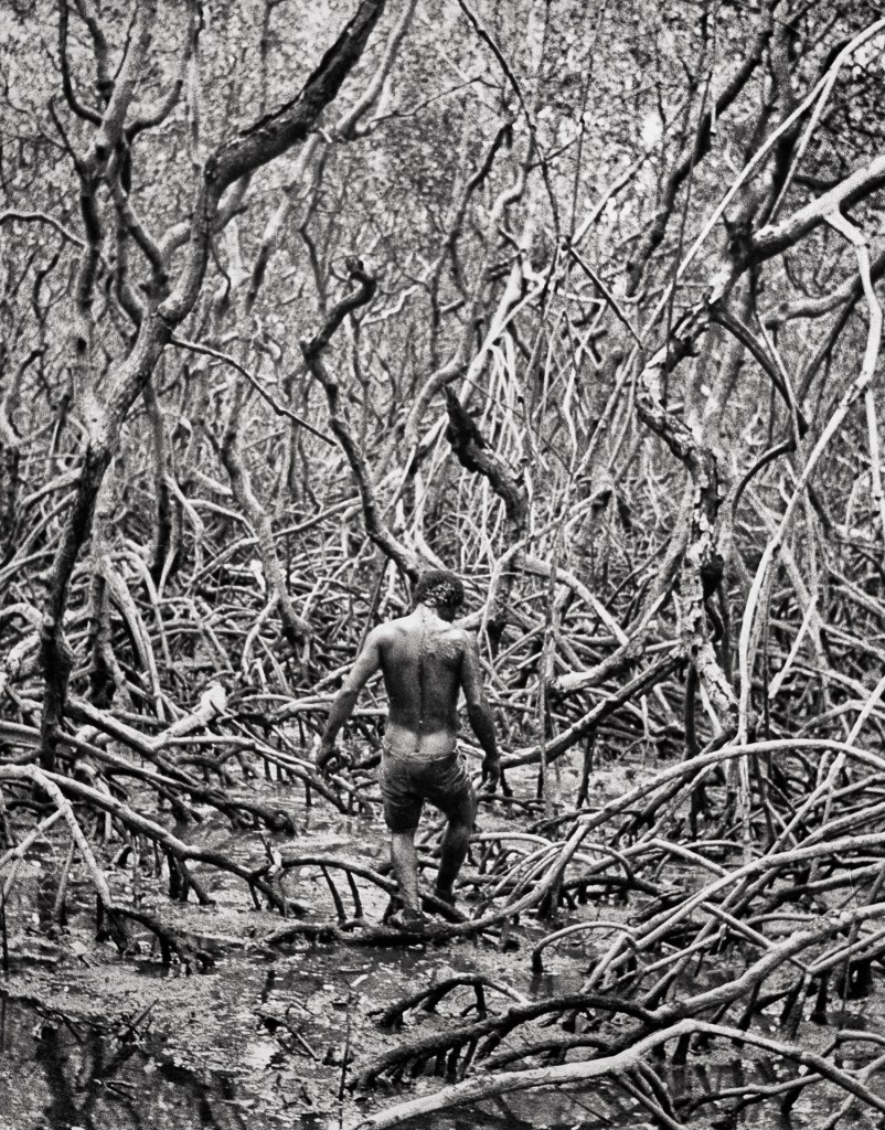 Acompanhar e fotografar os caranguejeiros me fez perceber o quanto o ser humano pode se fundir com o manguezal. 